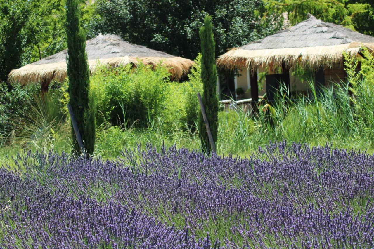 Lavand'Ange Et Spa Sarrians Exterior photo