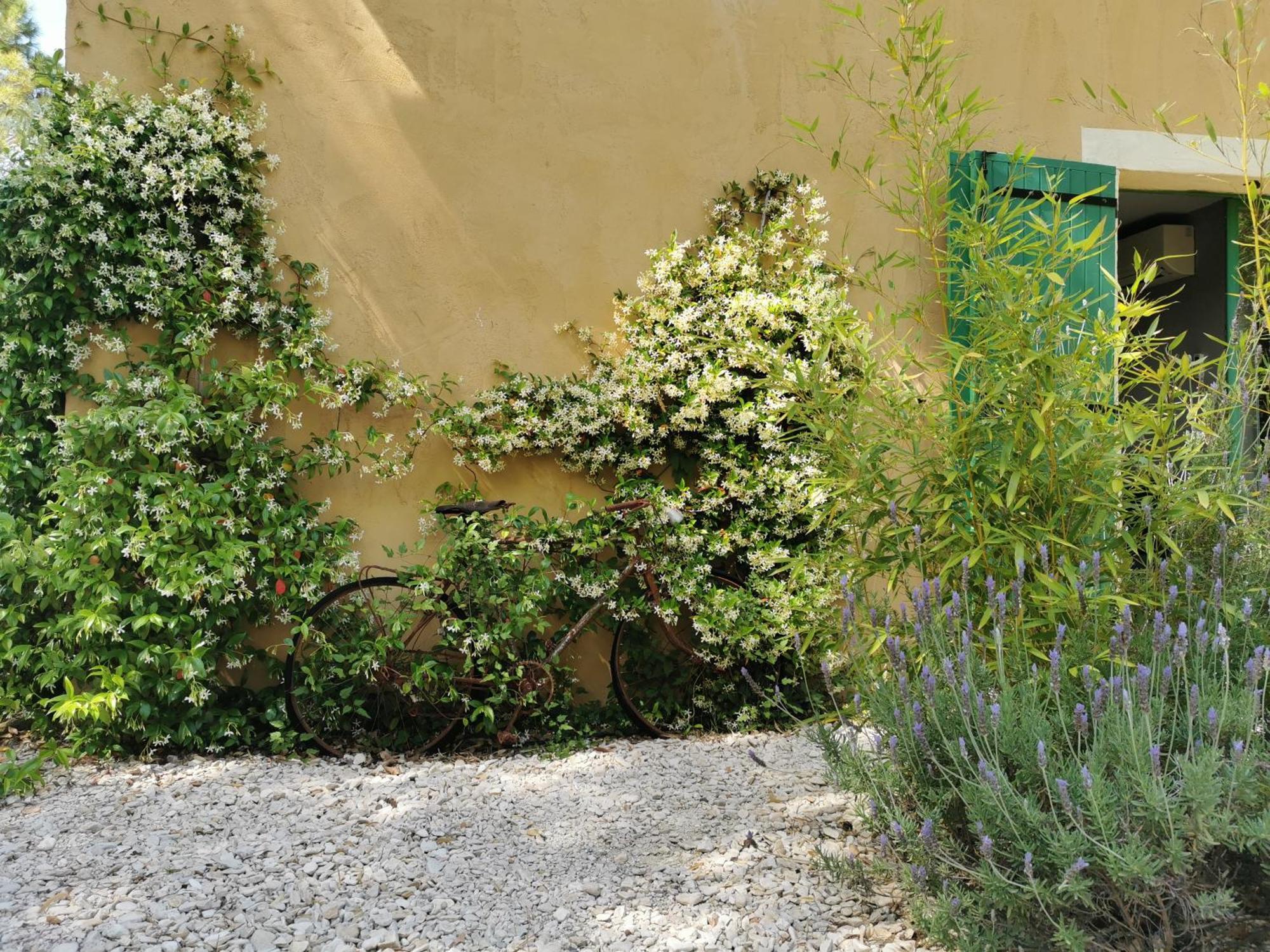 Lavand'Ange Et Spa Sarrians Exterior photo